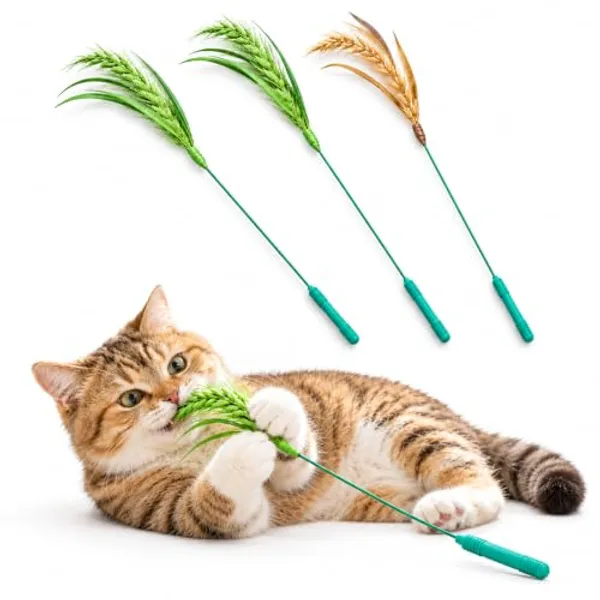 本物そっくり エノコログサ猫じゃらし 3本入り